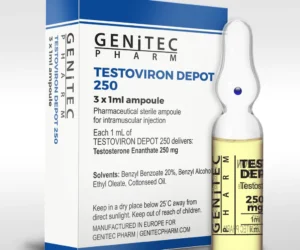 3 x 1ml Testosterone Enanthate 250